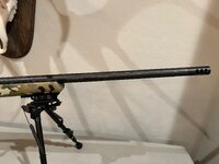 IMG_2026.jpeg IMG_2026.jpeg