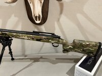 IMG_2028.jpeg IMG_2028.jpeg