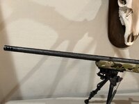 IMG_2029.jpeg IMG_2029.jpeg