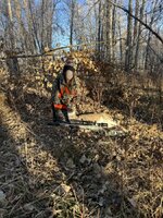 IMG_4310. WTDoe11.22.25.JPG IMG_4310. WTDoe11.22.25.JPG