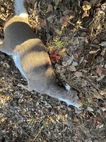 IMG_4344.JPG IMG_4344.JPG