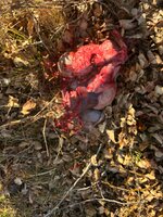 IMG_4349.JPG IMG_4349.JPG