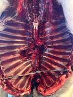 IMG_4353.JPG IMG_4353.JPG