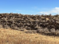 IMG_4852.jpeg IMG_4852.jpeg