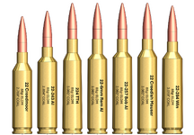 22 Caliber Lineup v3.png