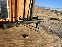 IMG_8933.jpeg IMG_8933.jpeg