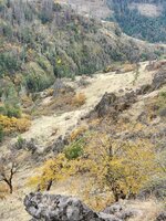 1000003458.jpg 1000003458.jpg