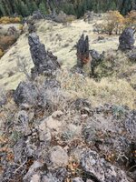 1000003464.jpg 1000003464.jpg