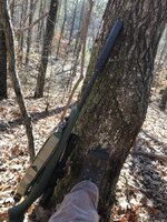 IMG_6135.jpeg IMG_6135.jpeg