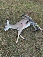 IMG_1463.jpeg IMG_1463.jpeg