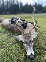 IMG_1577.jpeg IMG_1577.jpeg