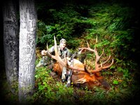 2013 id bull-002.jpeg