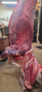 20251129_151443.jpg 20251129_151443.jpg