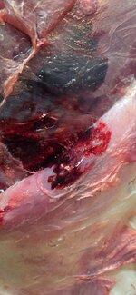 20251129_151448.jpg 20251129_151448.jpg