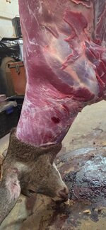 20251129_152233.jpg 20251129_152233.jpg