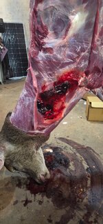 20251129_153151.jpg 20251129_153151.jpg