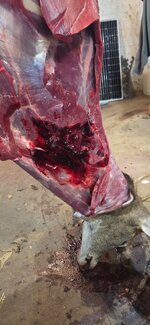 20251129_153446.jpg 20251129_153446.jpg