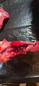 20251129_153546.jpg 20251129_153546.jpg