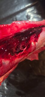 20251129_153550.jpg 20251129_153550.jpg