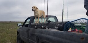 20200329_131106.jpg 20200329_131106.jpg