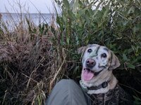 PXL_20250105_130443465.jpg PXL_20250105_130443465.jpg