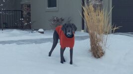 1228191003d-1.jpg 1228191003d-1.jpg