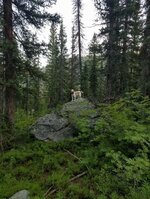 IMG_1859.jpeg IMG_1859.jpeg