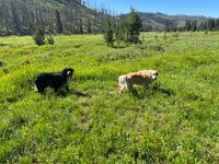 IMG_5265.jpeg IMG_5265.jpeg