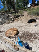 IMG_5259.jpeg IMG_5259.jpeg