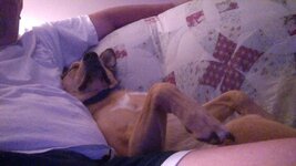 27437.jpeg 27437.jpeg