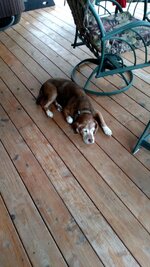 27439.jpeg 27439.jpeg