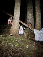 IMG_2805.jpeg IMG_2805.jpeg