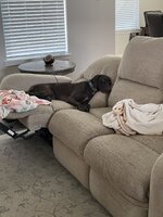 IMG_0596.jpeg IMG_0596.jpeg