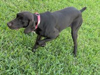 IMG_3412.jpeg IMG_3412.jpeg