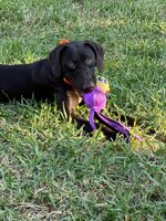 IMG_8164.jpeg IMG_8164.jpeg