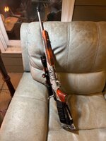 IMG_0335.jpeg IMG_0335.jpeg