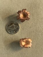 IMG_1762 (1).jpg IMG_1762 (1).jpg