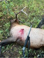 IMG_7459.jpeg IMG_7459.jpeg