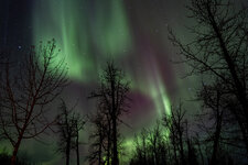 NorthernLights9 copy.jpg