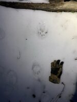 IMG_1504 Medium.jpeg