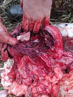 130pt pass through.jpg