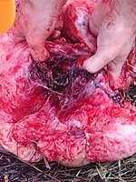 130pt entrance side (right).jpg