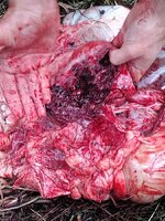 130pt exit side (left).jpg