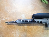 APC_0335.jpeg APC_0335.jpeg