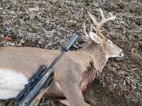 1000004816.jpg 1000004816.jpg