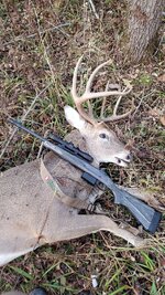 1000000348.jpg 1000000348.jpg