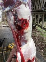 1000019669.jpg 1000019669.jpg