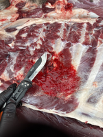 1764639768865.png 1764639768865.png