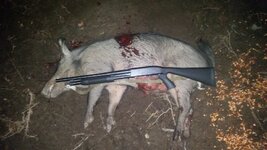 20180725_205140.jpg 20180725_205140.jpg