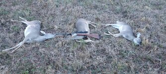 20221120_154509.jpg 20221120_154509.jpg